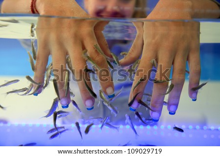 close-up of hands taking care at fish spa
