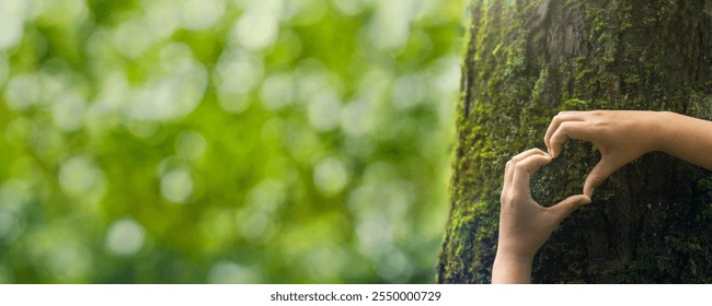 Close-up hands touching a tree with moss in the forest. Environmental concept. Nature conservation. Forest ecology. World environment day. Forest nature. Green background. Heart shape hands.