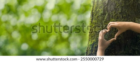 Close-up hands touching a tree with moss in the forest. Environmental concept. Nature conservation. Forest ecology. World environment day. Forest nature. Green background. Heart shape hands.