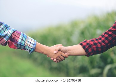 Closeup Hands Two Farmer Shaking Hands.