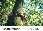 Closeup hands of woman hugging tree in forest, Nature conservation, environmental protection.