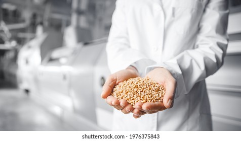 Closeup Hands Worker Holds Grain For Production Of White Flour In Automated Modern Mill For Bread.