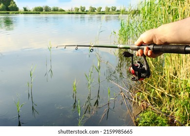 Close-up of the hands of a young fisherman holding a fishing rod on the shore of a lake on a summer sunny day outdoors. Catch carp, bream, crucian carp, perch, roach, perch, bleak, chebak.  
