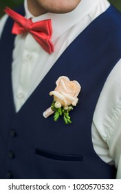 Closeup Of Handsome Adult Man Festively Dressed. Portrait Of Groom Or Best Man Wearing White Shirt, Blue Vest, Red Bowtie And Pastel Rose Buttonhole. Vertical Color Photography.