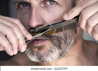 Closeup Of Handsome Man Trimming His Beard