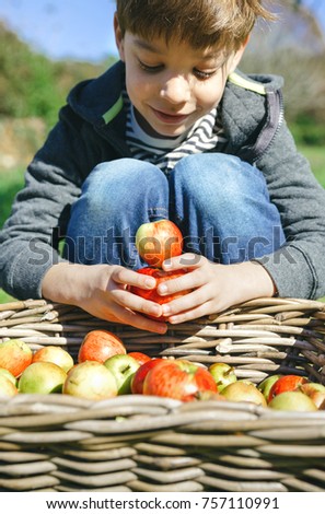 Similar – Portrait of happy kid putting apples in wicker basket