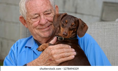 Close-up Of A Happy, Smiling Senior Man (80 Year Old Caucasian) Holding His Cute Little Dog                             