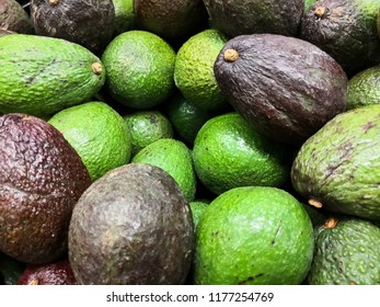 Close-up Of Hass Avocado Heap With A Typical Dark Green And Green Colored, Bumpy Skin.  Persea Americana Avocado Cultivar Made By Rudolph Hass