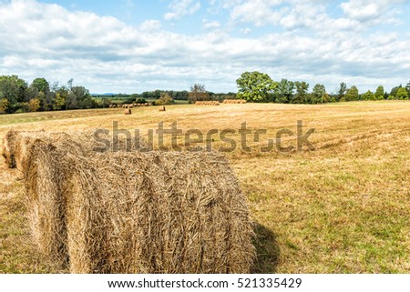 Closeup of hay roll haystack in countryside field in Virginia