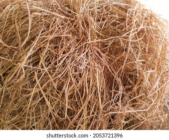 Closeup haystack pile which is tided with rope for sale in market. Haystack background. Haystack. Hay stack. Haystacks. Paddy haystack. Animals dry food. Dried paddy plant.