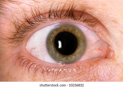 Close-Up of hazel green Irish eye