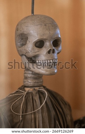 Close-up of the head of a puppet – a grim reaper skull.