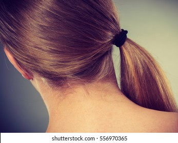 Closeup Head Of Teen Girl In Ponytail Back View On Gray