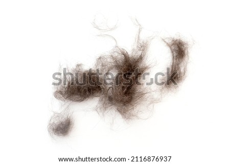 Close-up of heap cat fur isolated on white, top view