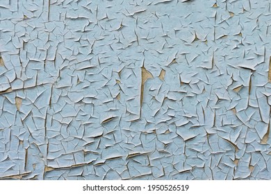 Close-up. Heavily cracked blue paint on exterior building wall.  Damaged paint on a facade of the building.