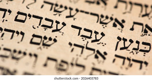 torah hebrew