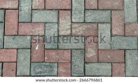 Close-up of a Herringbone Patterned Brick Paver Path, Interlocking Brick Pavers Arranged in a Herringbone Design