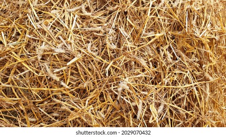 A Closeup Of An Hey Bale