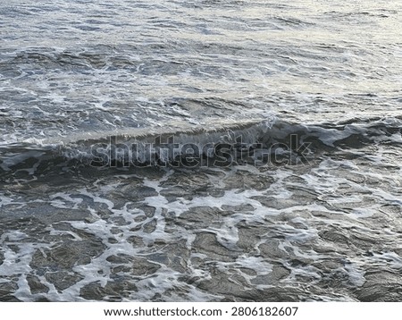 A close-up high-angle photograph of the ocean surface as a small wave begins to break. A gentle foamy wave stretches horizontally across the centre of the frame, with the foreground filled with sea foam or spume, white lacy patterns left on the water after a previous wave has receded. The scene is dominated by muted cool tones, with the water appearing in shades of silvery-grey, deep blue and charcoal, while the breaking crest and foam are a bright contrasting white. There is a high level of detail in the texture, from the choppy ripples in the background to the bubbly ephemeral quality of the foam. Soft overcast lighting creates a calm yet moody atmosphere, ideal for coastal themes, nature backgrounds and environmental design projects.

