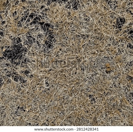 A close-up high-angle shot of dry, parched soil mixed with withered brown grass and organic debris.