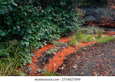 Close-up, high-angle view of a small forest stream in Ramlosa Brunnspark (Ramlosa Health Resort Park), Helsingborg, Sweden, during autumn. The water exhibits a distinct orange or rust color due to nat