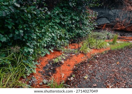 Close-up, high-angle view of a small forest stream in Ramlosa Brunnspark (Ramlosa Health Resort Park), Helsingborg, Sweden, during autumn. The water exhibits a distinct orange or rust color due to nat