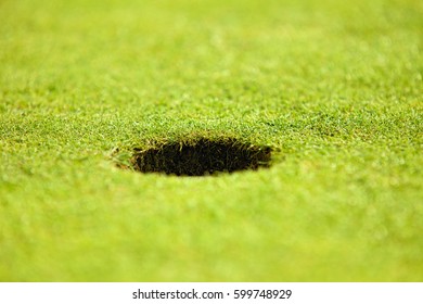 Close-up of hole on putting green - Shutterstock ID 599748929