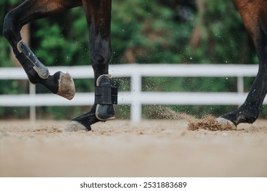 Close-up of horse hooves in protective gear trotting on a sandy arena, highlighting the energy and motion with dust being kicked up. - Powered by Shutterstock