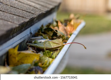 Closeup of house rain gutter clogged with  colorful leaves falling from trees in the fall. Concept of home maintenance and repair 