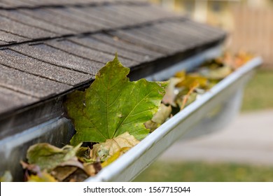 Closeup of house rain gutter clogged with  colorful leaves falling from trees in the fall. Concept of home maintenance and repair 