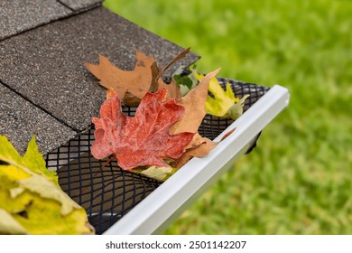Closeup of house rain gutter with leaf guard screen and leaves. Home maintenance, yardwork and roof damage concept