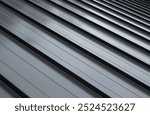 Close-up house retro roof panel with standing seam and fasteners. Classic style black metal panel with rebate joint. Modern galvanized steel roofing sheet with ribs. Falz roofing. Building