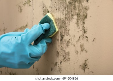 Close-up Of A Housekeeper's0 Hand Wearing Glove Cleaning Stained Wall With Sponge