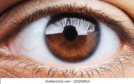 Closeup of human eye, macro mode