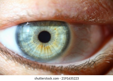 Closeup Of Human Eye And Macro Photography