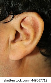 Closeup Human's Ear