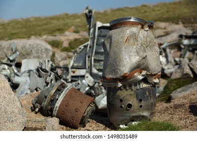 13 T sagairt mor Images, Stock Photos & Vectors | Shutterstock