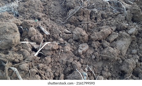 Close-up Image Of Agriculture Land With Compost And Muddy Terrain, Ecology And Fertilized Land Concept, Rural Farming, Drought Concept, Barren Land With Organic Mud Chunks Blurred Background, Climate