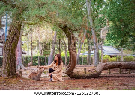 Closeup image of an asian woman sitting and playing with a wild deer in the park