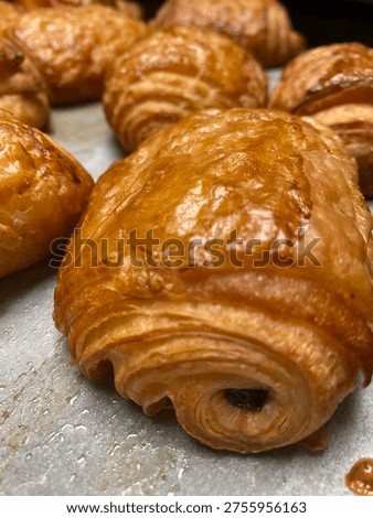 close-up image of a batch of flakey chocolate croissants.