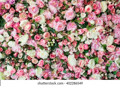 Closeup image of beautiful flowers wall background with amazing red and white roses. - Shutterstock ID 402286549