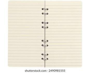 Close-up image of a blank lined notebook page with binder rings