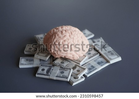 Closeup image of brain and money. Business mindset, investing money in education concept