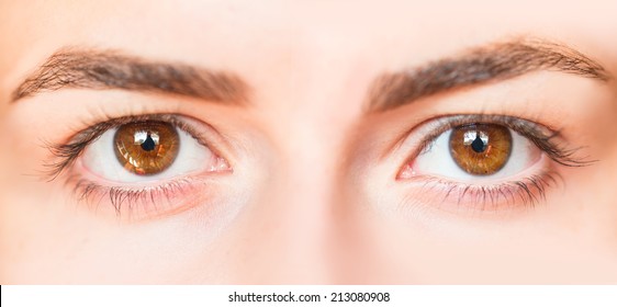 Closeup image of brown eyes 