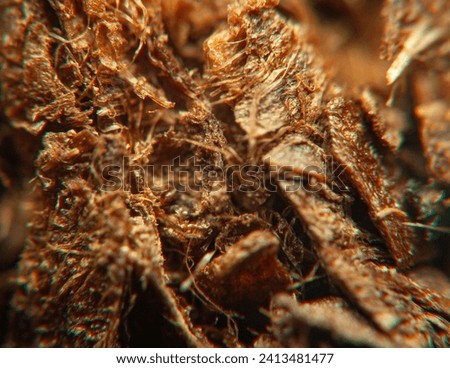 Close-up image capturing the intricate texture of organic material