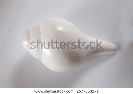 Close-up image of Conch Shell (Shankh) aginst white background, top view.  Shankh is a wind instrument and a symbol of purity and divine protection and used in religious rituals in Hindus.
