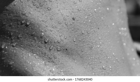 Close-up image of female beautiful slim belly with water drops. Fitness body.