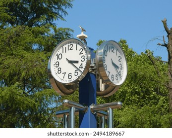 A close-up image of a four-faced clock tower stands in the center of the sports park.