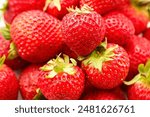 Close-up Image of Fresh, Ripe Strawberries in Vibrant Red Color