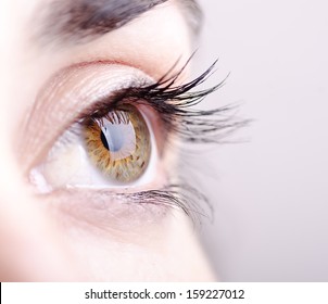 Closeup image of green and brown eye